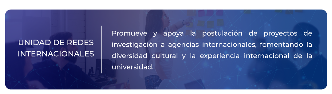 Dirección de Investigación Vicerrectoría de Investigación e Innovación
